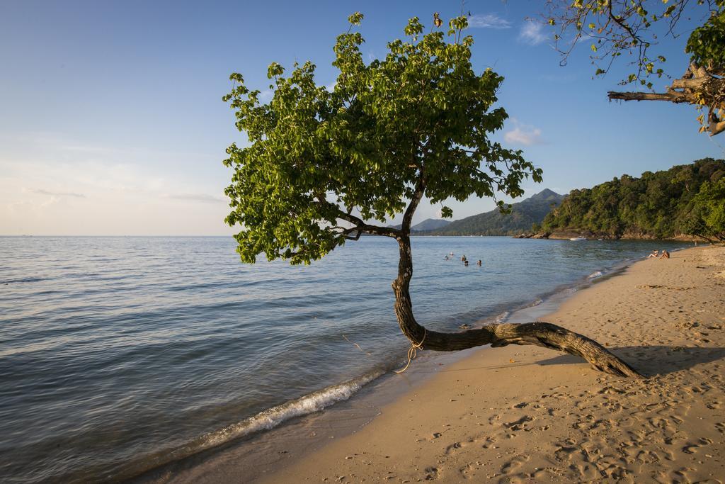 The White Knot Koh Chang Zimmer foto